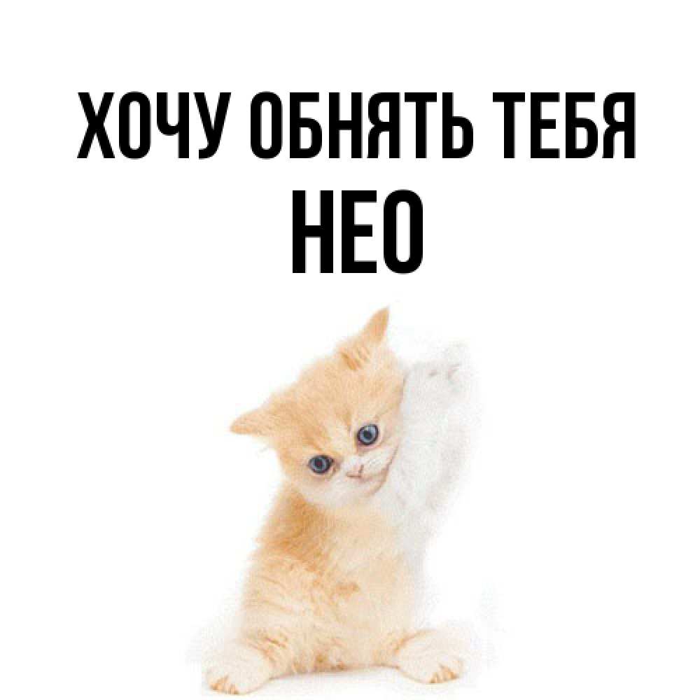 Открытка на каждый день с именем, Нео Хочу обнять тебя я хочу очень скорее обнимаешек Прикольная открытка с пожеланием онлайн скачать бесплатно 