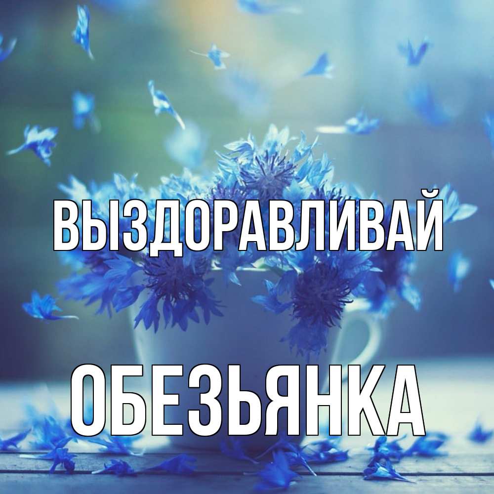 Открытка на каждый день с именем, Обезьянка Выздоравливай кружка с зельем и цветами Прикольная открытка с пожеланием онлайн скачать бесплатно 