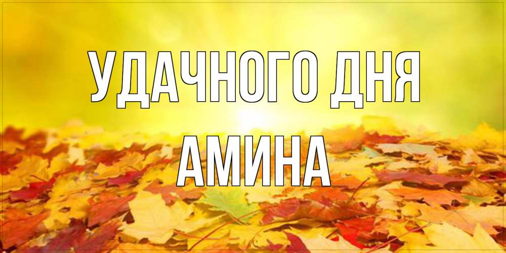 Открытка на каждый день с именем, Амина Удачного дня пожелания удачного дня Прикольная открытка с пожеланием онлайн скачать бесплатно 