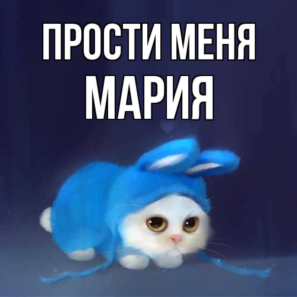 Открытка на каждый день с именем, Мария Прости меня невинный котозай просит прощения Прикольная открытка с пожеланием онлайн скачать бесплатно 