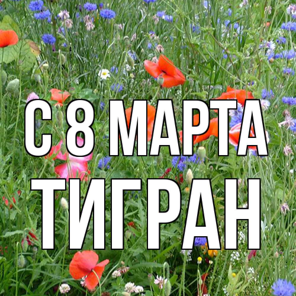 Открытка на каждый день с именем, Тигран C 8 МАРТА международный женский день 4 Прикольная открытка с пожеланием онлайн скачать бесплатно 