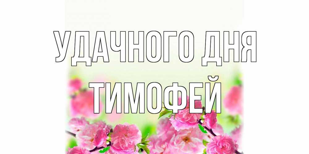 Открытка на каждый день с именем, Тимофей Удачного дня цветы Прикольная открытка с пожеланием онлайн скачать бесплатно 