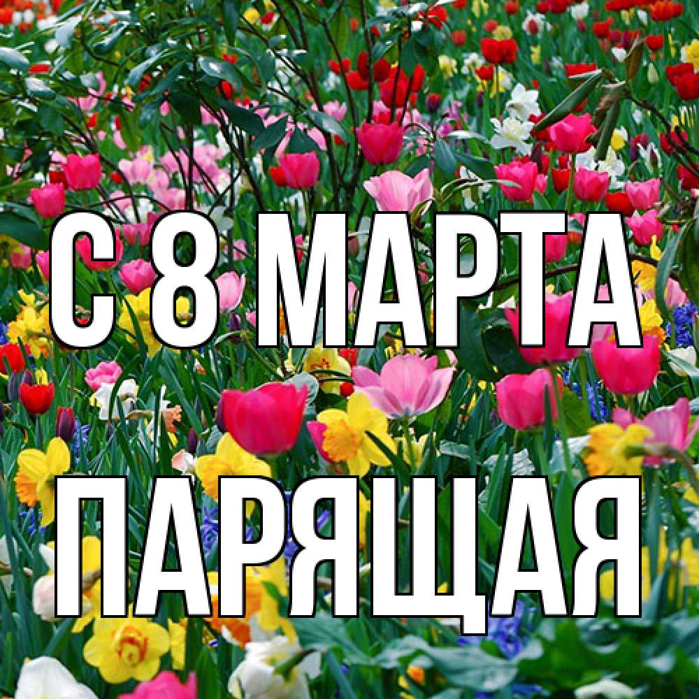 Открытка на каждый день с именем, Парящая C 8 МАРТА с международным женским днем поздравления для женщины Прикольная открытка с пожеланием онлайн скачать бесплатно 