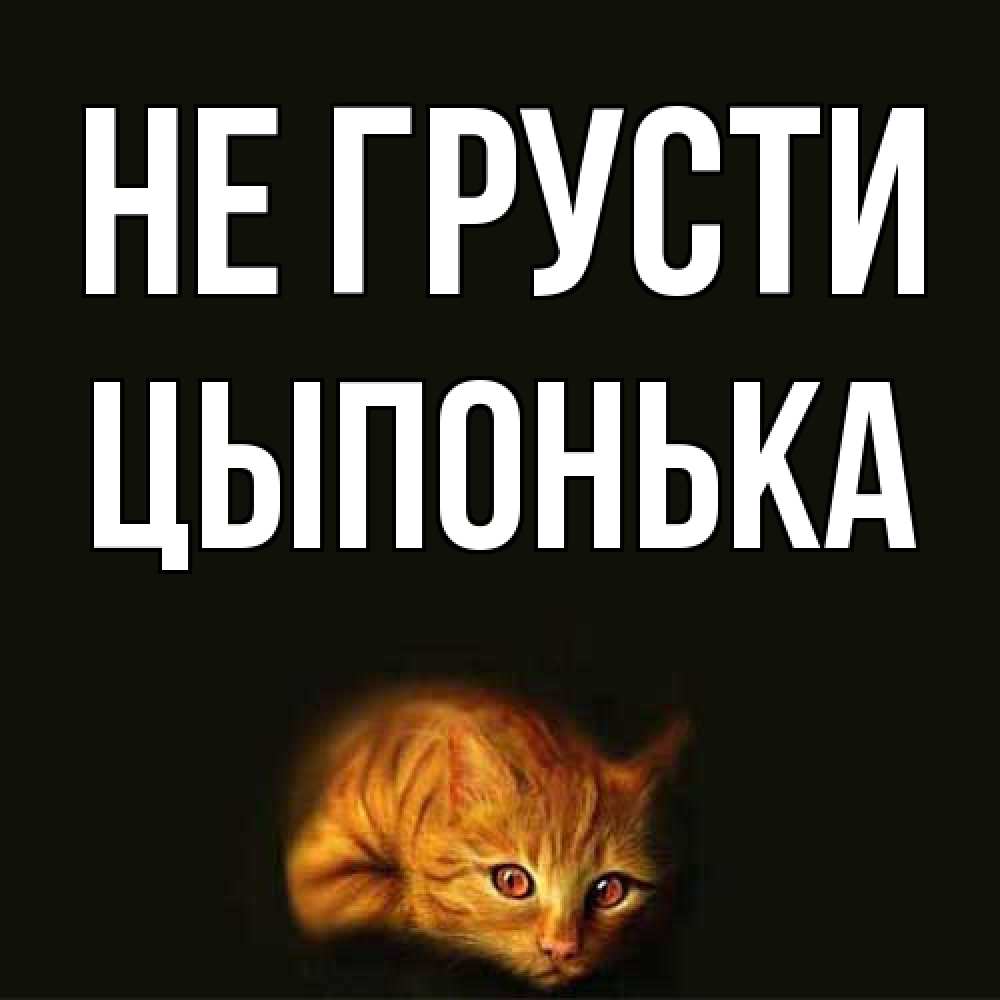 Открытка на каждый день с именем, Цыпонька Не грусти лежащий кот в темноте Прикольная открытка с пожеланием онлайн скачать бесплатно 