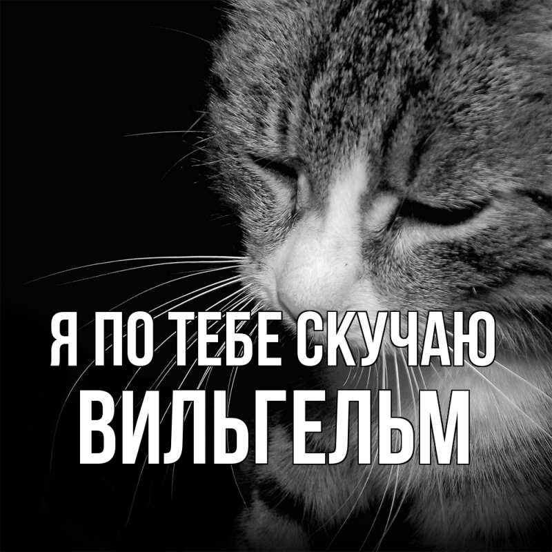 Картинка Я по тебе скучаю, Вильгельм