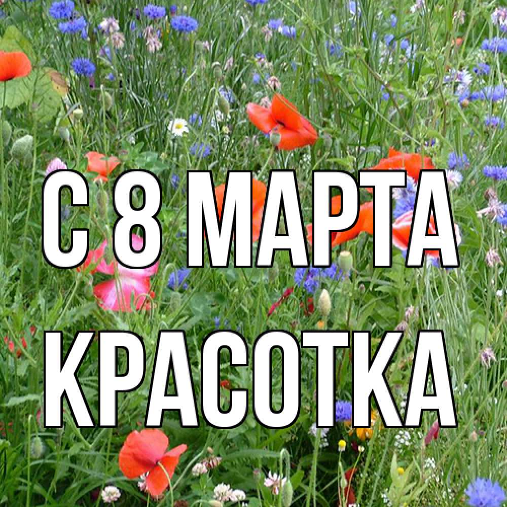 Открытка на каждый день с именем, Красотка C 8 МАРТА международный женский день 4 Прикольная открытка с пожеланием онлайн скачать бесплатно 