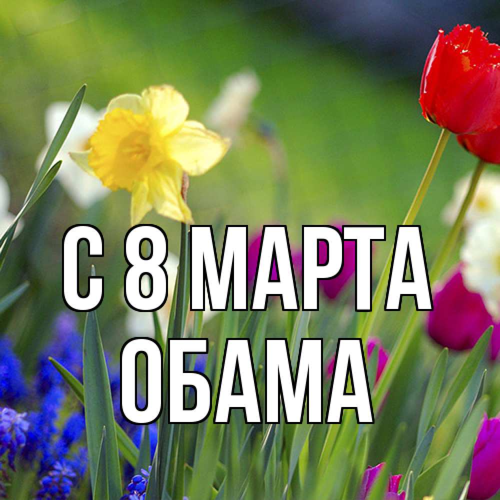 Открытка на каждый день с именем, Обама C 8 МАРТА международный женский день 3 Прикольная открытка с пожеланием онлайн скачать бесплатно 