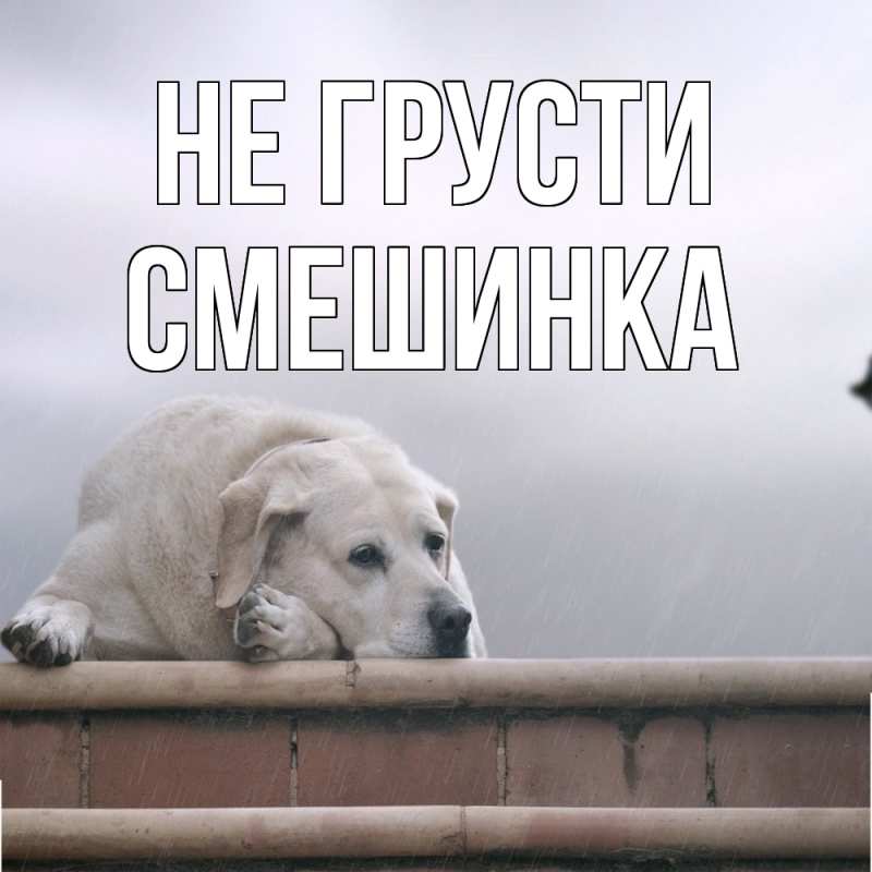 Картинка Не грусти, Смешинка