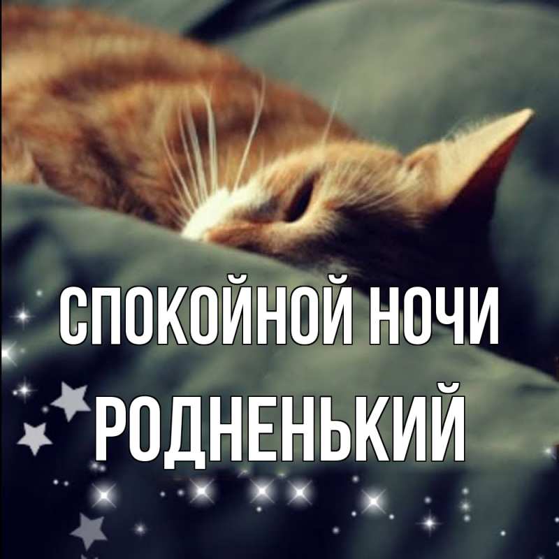 Картинка Спокойной ночи, Родненький