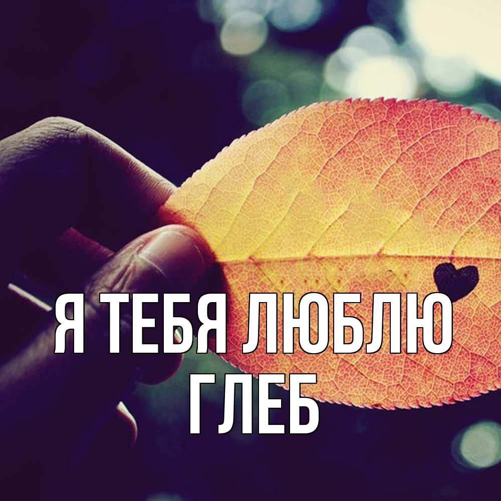 Открытка на каждый день с именем, Глеб Я тебя люблю держу лист Прикольная открытка с пожеланием онлайн скачать бесплатно 