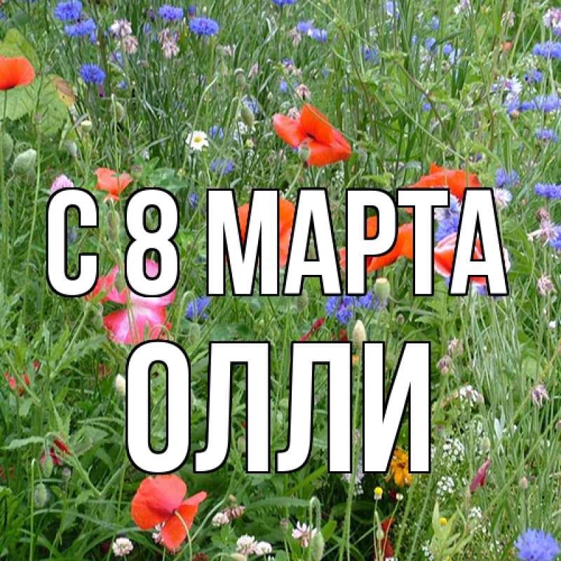Картинка C 8 МАРТА, Олли