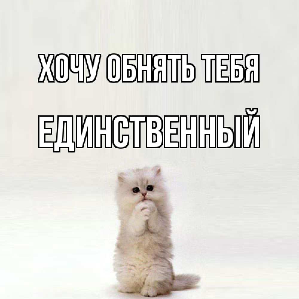 Открытка на каждый день с именем, Единственный Хочу обнять тебя открытки с креативными подписями Прикольная открытка с пожеланием онлайн скачать бесплатно 