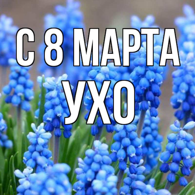 Картинка C 8 МАРТА, Ухо