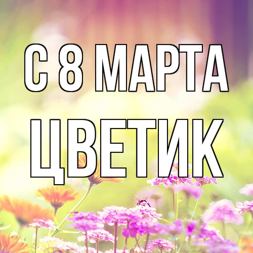 Открытка на каждый день с именем, цветик C 8 МАРТА цветы весна Прикольная открытка с пожеланием онлайн скачать бесплатно 