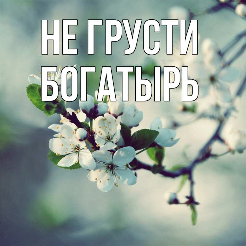 Открытка с именем, Богатырь, Не грусти