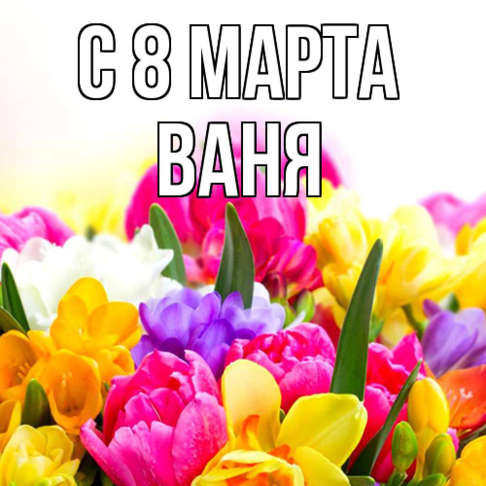 Открытка на каждый день с именем, Ваня C 8 МАРТА тюльпаны Прикольная открытка с пожеланием онлайн скачать бесплатно 