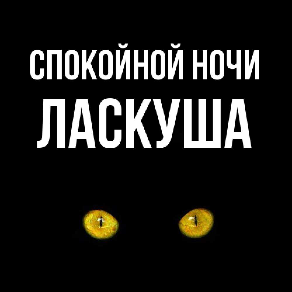 Открытка на каждый день с именем, ласкуша Спокойной ночи сладких снов бесстрашный мой дружочек Прикольная открытка с пожеланием онлайн скачать бесплатно 