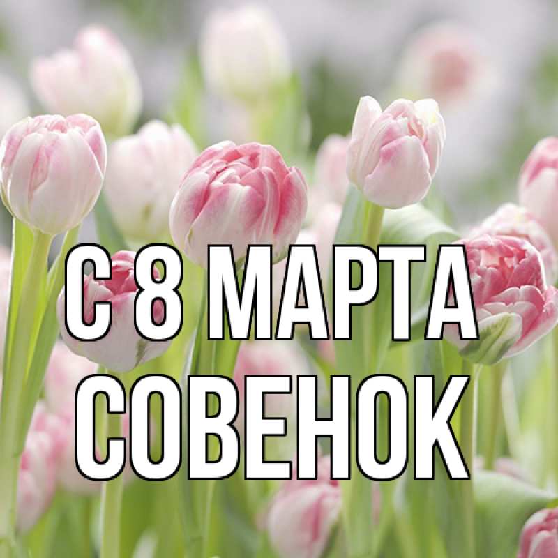 Картинка C 8 МАРТА, совенок