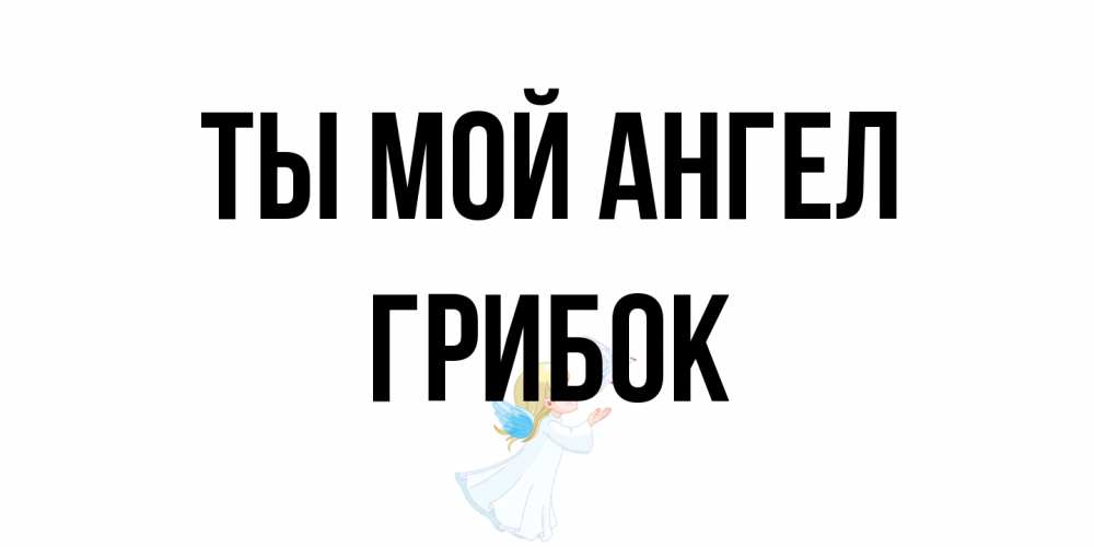 Открытка на каждый день с именем, Грибок Ты мой ангел ангел, голубь Прикольная открытка с пожеланием онлайн скачать бесплатно 