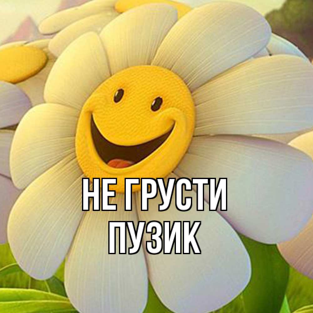 Открытка на каждый день с именем, Пузик Не грусти огромная улыбающаяся ромашуща Прикольная открытка с пожеланием онлайн скачать бесплатно 