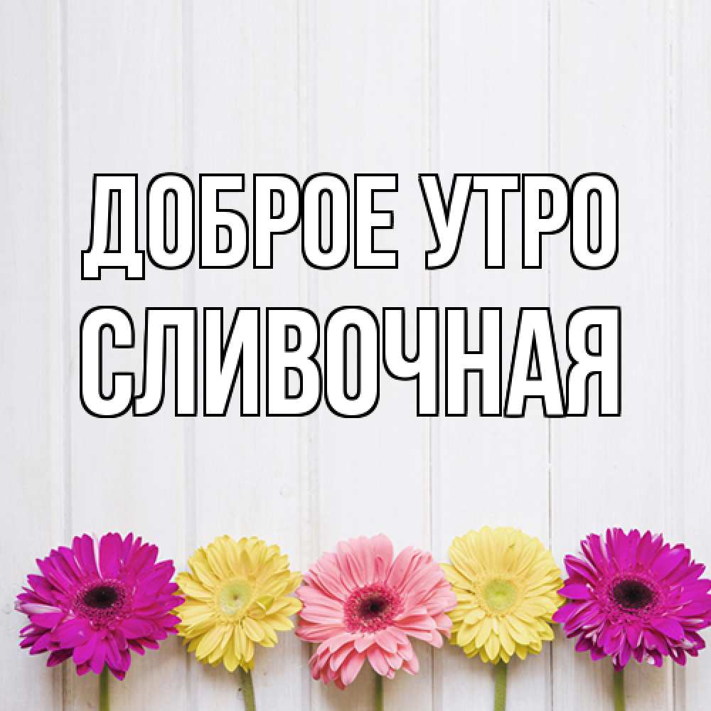 Открытка на каждый день с именем, Сливочная Доброе утро красный желтый и розовый цветок Прикольная открытка с пожеланием онлайн скачать бесплатно 