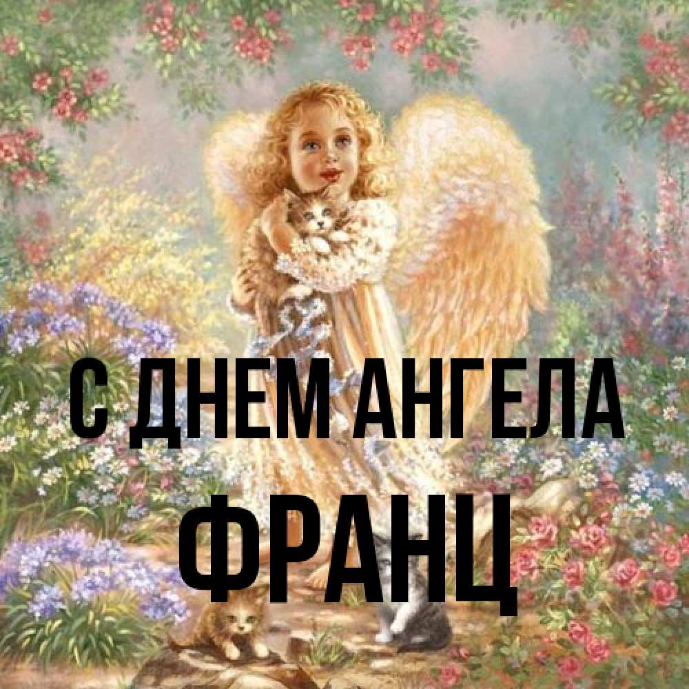 Открытка на каждый день с именем, Франц С днем ангела держит котенка Прикольная открытка с пожеланием онлайн скачать бесплатно 