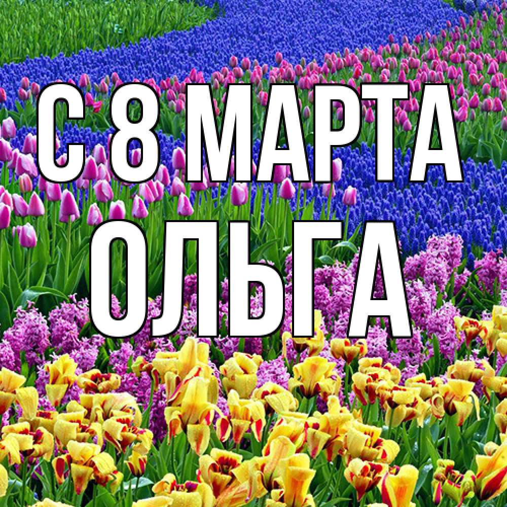 Открытка на каждый день с именем, Ольга C 8 МАРТА цветы Прикольная открытка с пожеланием онлайн скачать бесплатно 