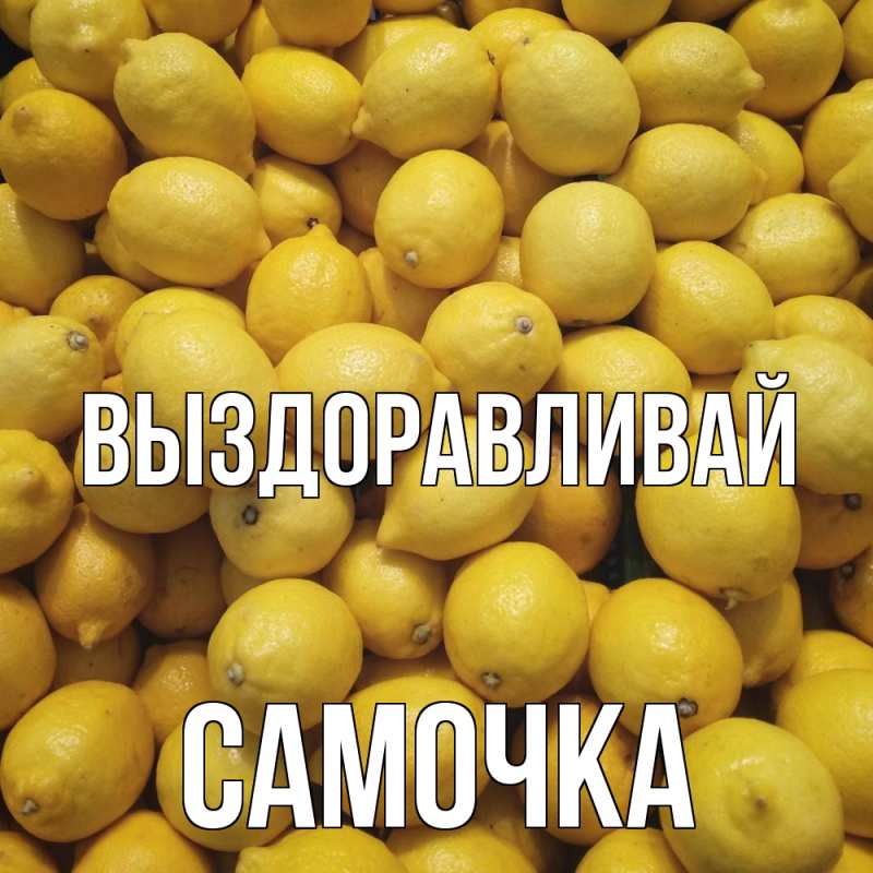 Картинка Выздоравливай, Самочка