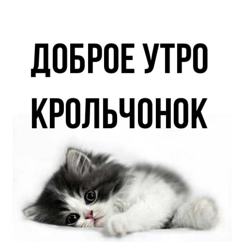 Картинка Доброе утро, Крольчонок