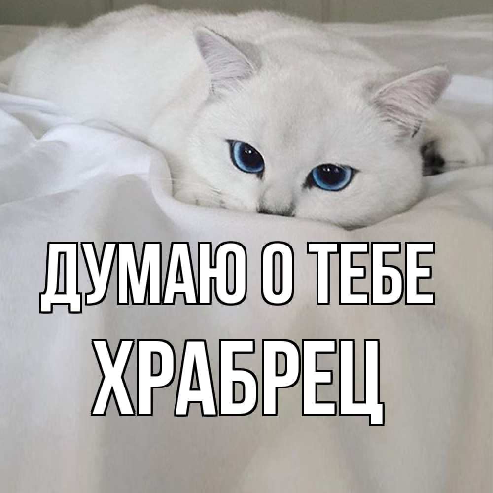 Открытка на каждый день с именем, Храбрец Думаю о тебе я очень по тебе скучаю и тоскую Прикольная открытка с пожеланием онлайн скачать бесплатно 