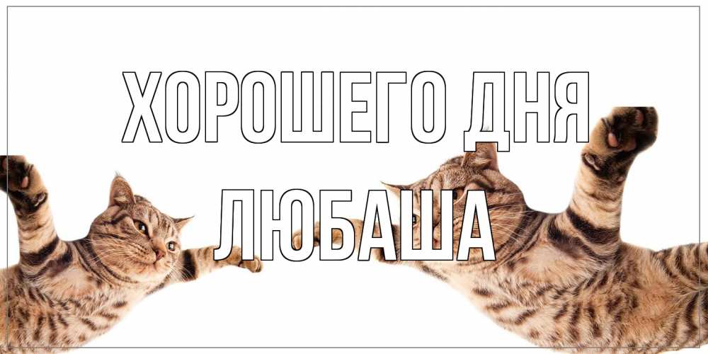 Открытка на каждый день с именем, Любаша Хорошего дня хорошего дня Прикольная открытка с пожеланием онлайн скачать бесплатно 