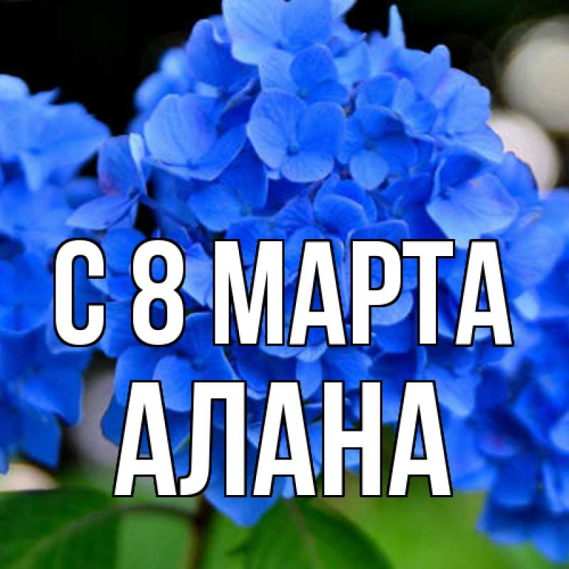Картинка C 8 МАРТА, Алана