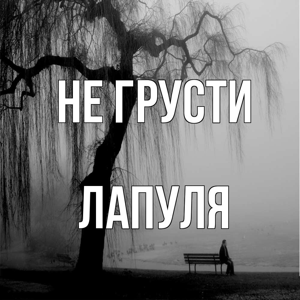 Открытка на каждый день с именем, Лапуля Не грусти висящие ветки дерева и лавочка под деревом Прикольная открытка с пожеланием онлайн скачать бесплатно 