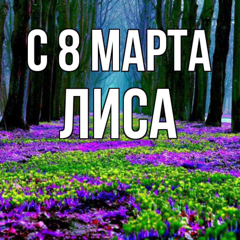 Открытка на каждый день с именем, лиса C 8 МАРТА фиолетовые цветы в лесу 1 Прикольная открытка с пожеланием онлайн скачать бесплатно 