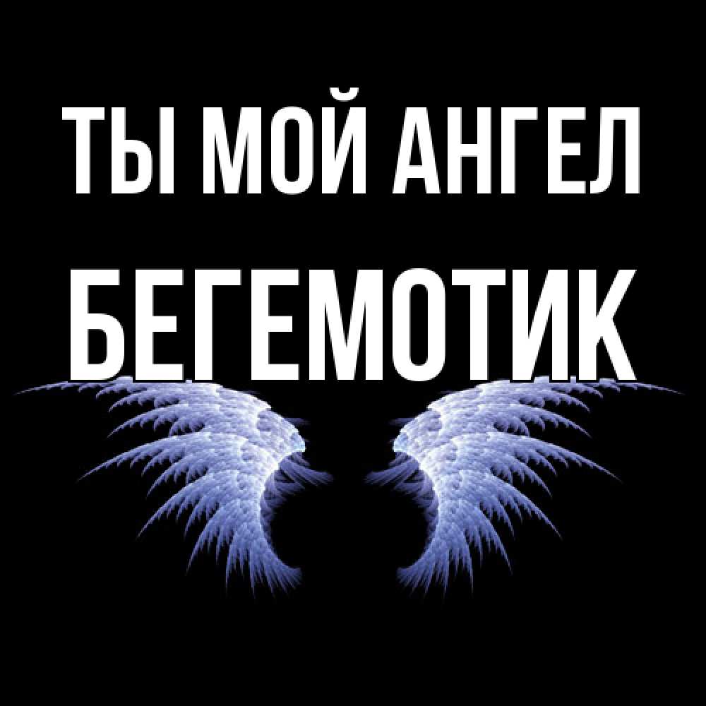 Открытка на каждый день с именем, Бегемотик Ты мой ангел ангельские крылья на черном фоне Прикольная открытка с пожеланием онлайн скачать бесплатно 