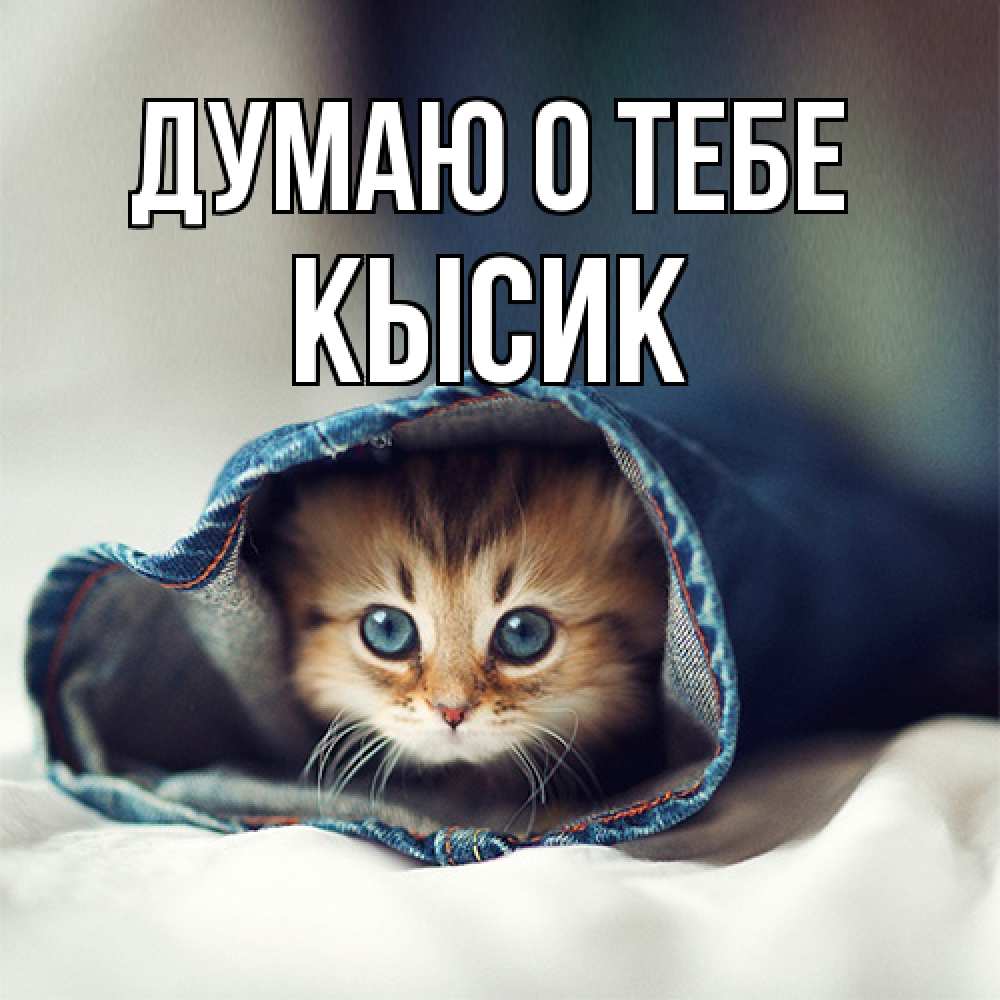 Открытка на каждый день с именем, Кысик Думаю о тебе мне без тебя плохо Прикольная открытка с пожеланием онлайн скачать бесплатно 