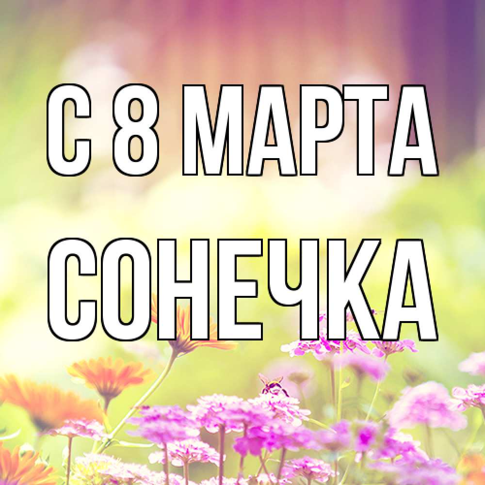 Открытка на каждый день с именем, Сонечка C 8 МАРТА цветы весна Прикольная открытка с пожеланием онлайн скачать бесплатно 