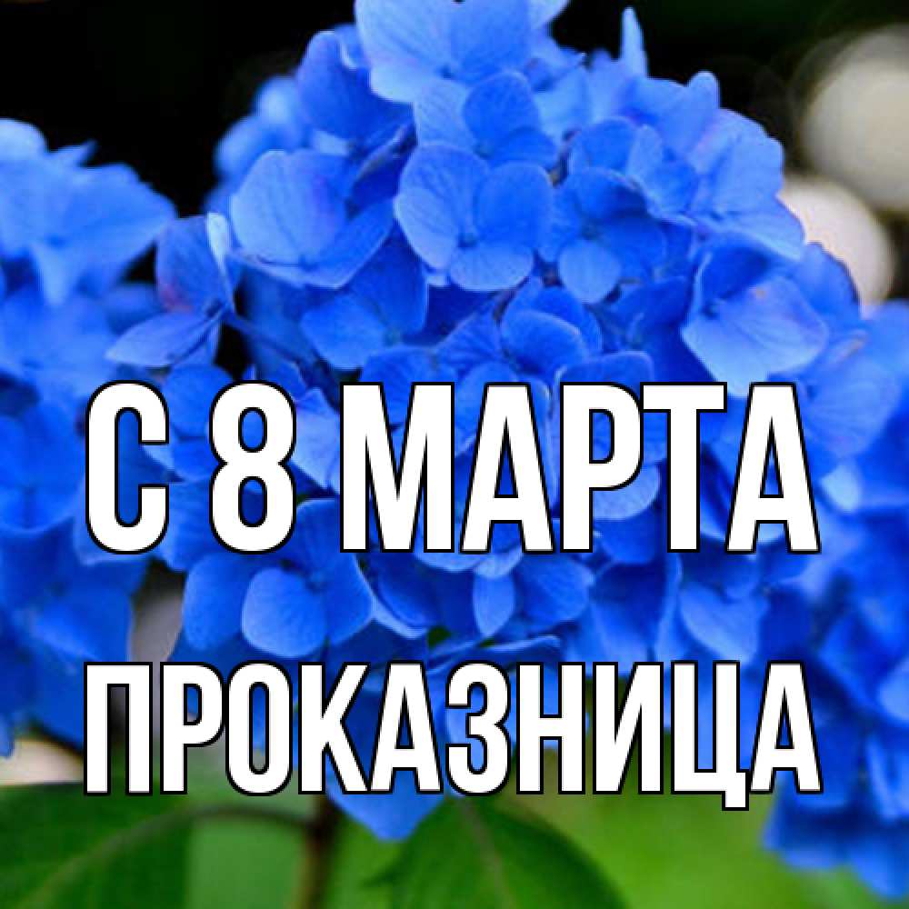 Открытка на каждый день с именем, Проказница C 8 МАРТА синие цветы Прикольная открытка с пожеланием онлайн скачать бесплатно 