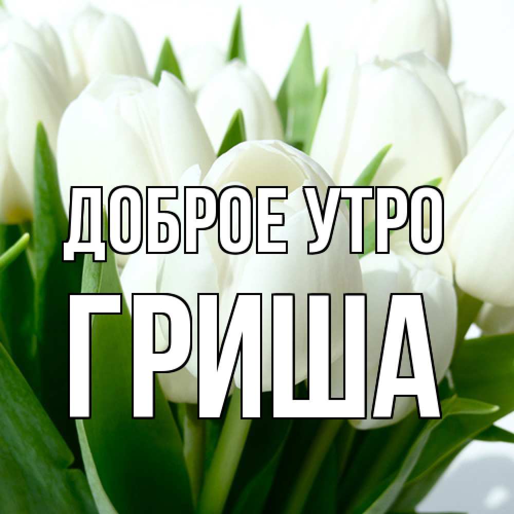 Открытка на каждый день с именем, Гриша Доброе утро открытки на каждый день по именам Прикольная открытка с пожеланием онлайн скачать бесплатно 