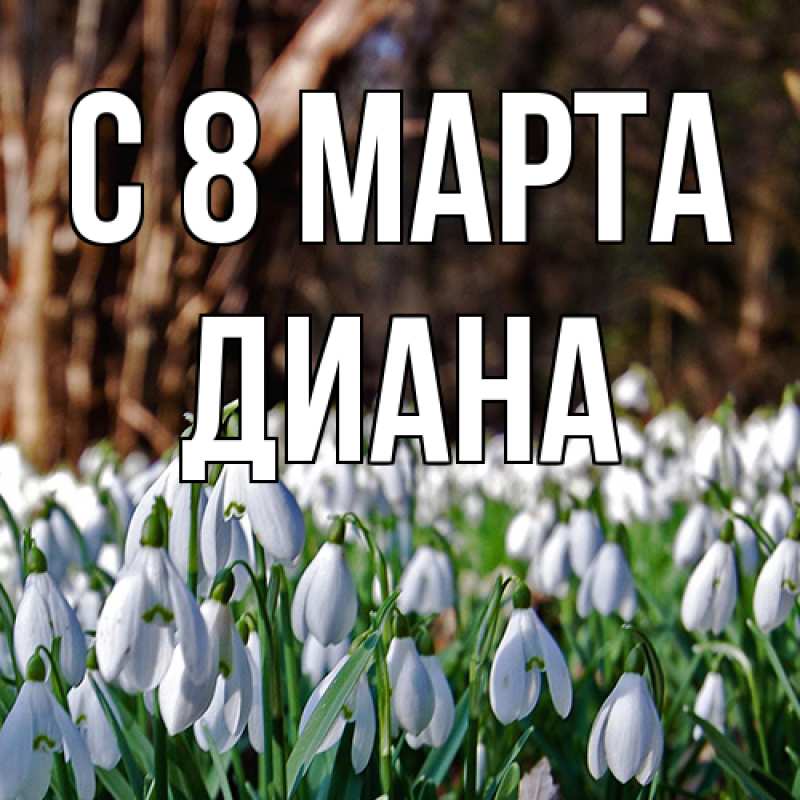 Картинка C 8 МАРТА, Диана