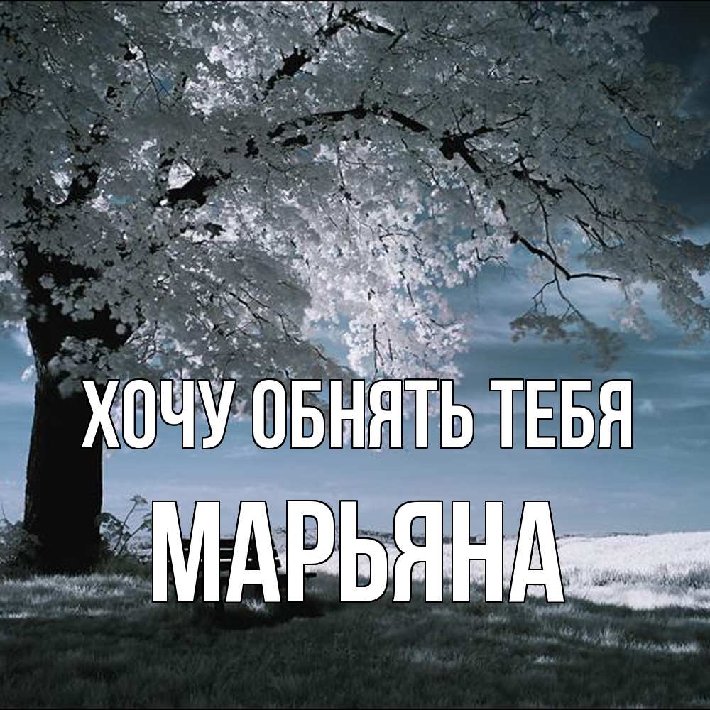 Открытка на каждый день с именем, Марьяна Хочу обнять тебя дерево Прикольная открытка с пожеланием онлайн скачать бесплатно 