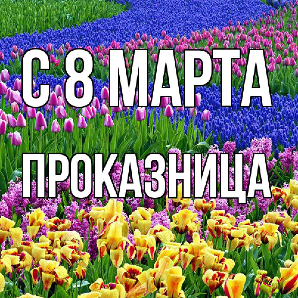 Открытка на каждый день с именем, Проказница C 8 МАРТА цветы Прикольная открытка с пожеланием онлайн скачать бесплатно 