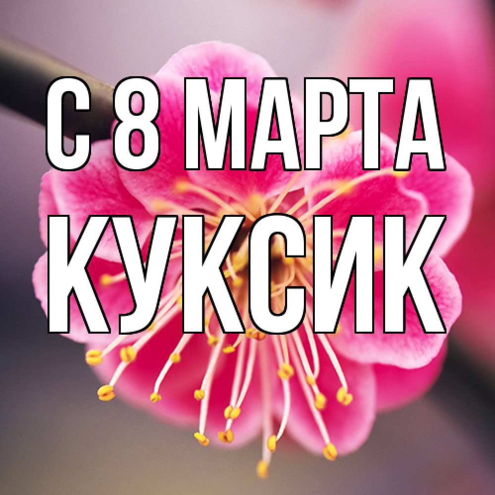 Открытка на каждый день с именем, куксик C 8 МАРТА цветы Прикольная открытка с пожеланием онлайн скачать бесплатно 