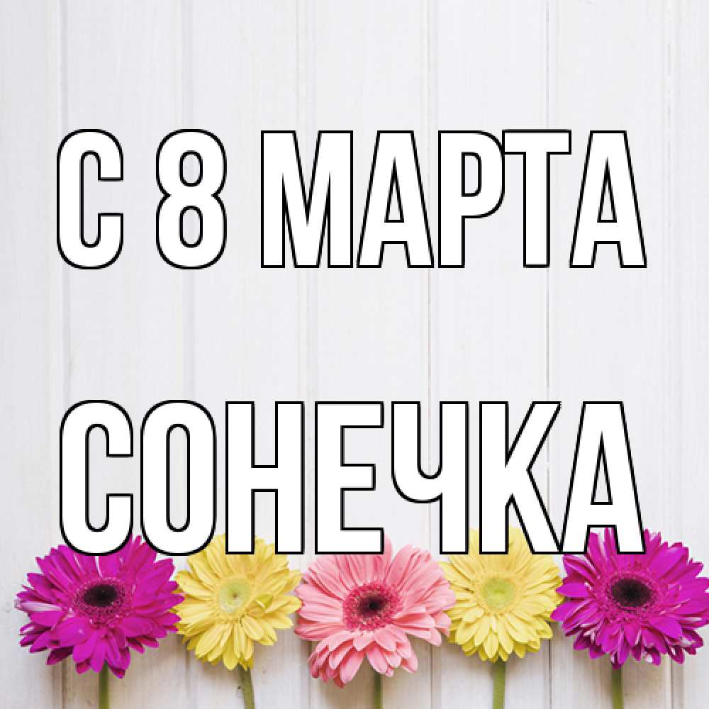Открытка на каждый день с именем, Сонечка C 8 МАРТА женщинам 1 Прикольная открытка с пожеланием онлайн скачать бесплатно 