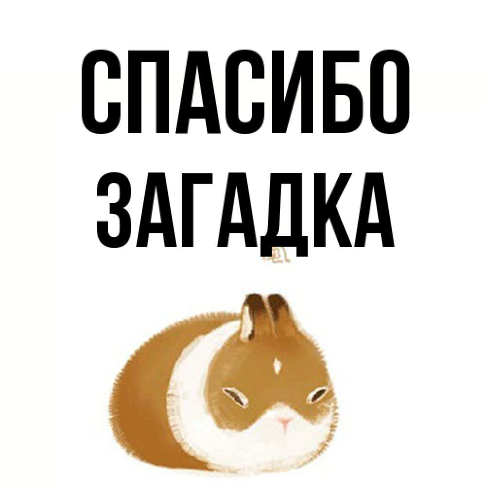 Открытка на каждый день с именем, Загадка Спасибо коричнево белый домашний питомец Прикольная открытка с пожеланием онлайн скачать бесплатно 