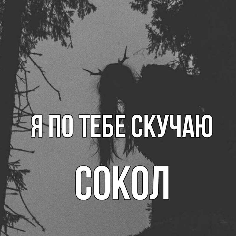 Картинка Я по тебе скучаю, Сокол