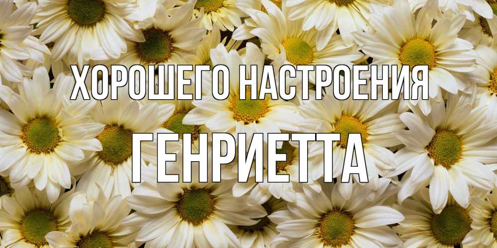 Открытка на каждый день с именем, Генриетта Хорошего настроения крупные ромашки Прикольная открытка с пожеланием онлайн скачать бесплатно 