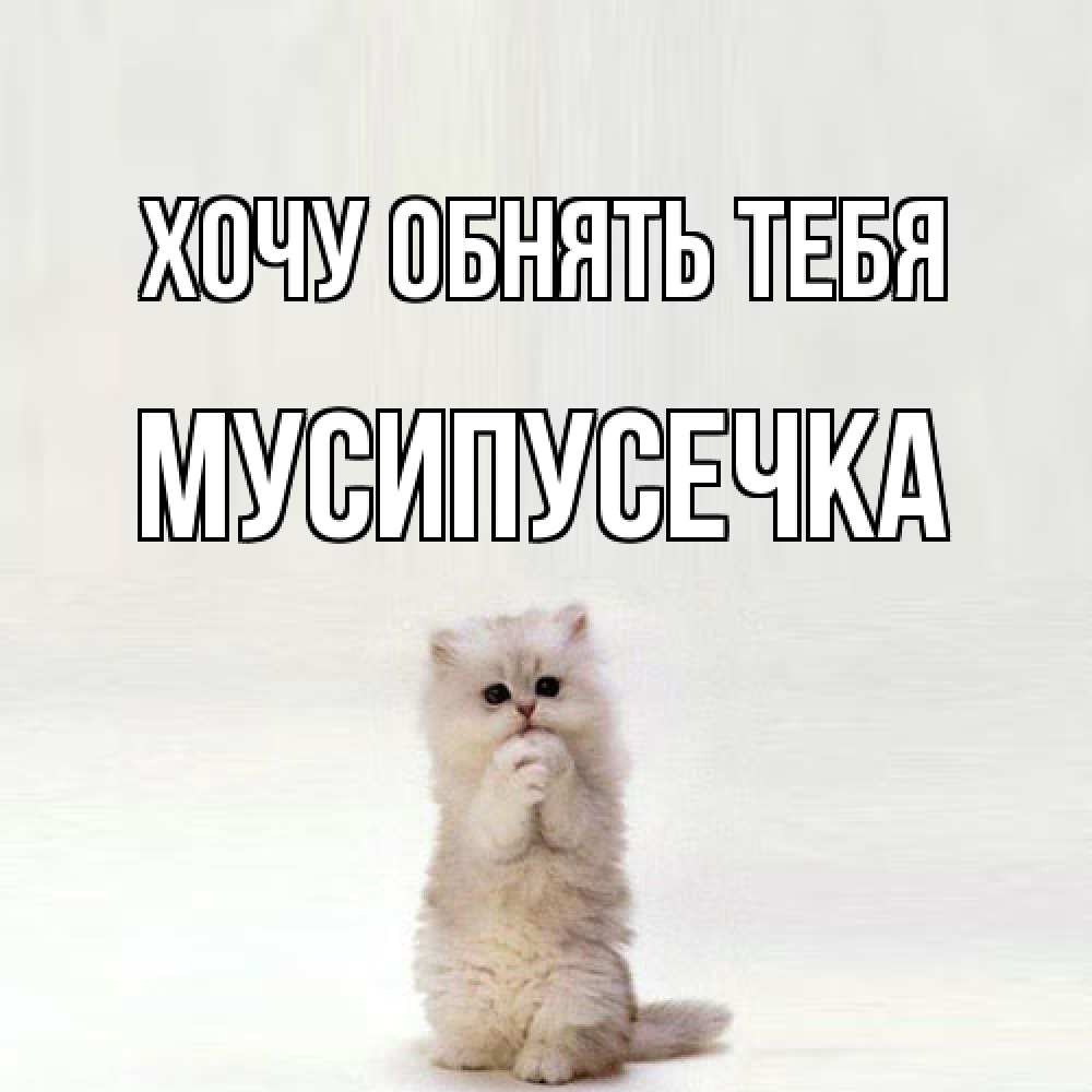 Открытка на каждый день с именем, Мусипусечка Хочу обнять тебя открытки с креативными подписями Прикольная открытка с пожеланием онлайн скачать бесплатно 