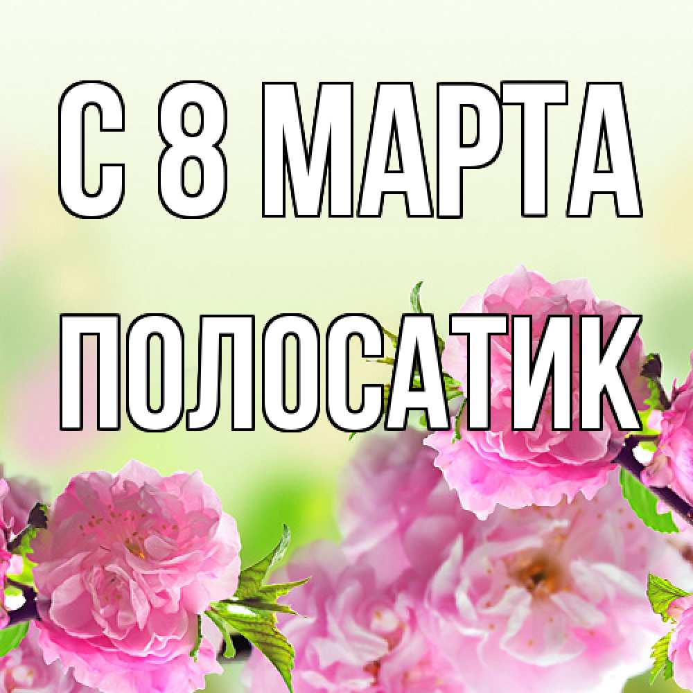 Открытка на каждый день с именем, полосатик C 8 МАРТА цветы Прикольная открытка с пожеланием онлайн скачать бесплатно 