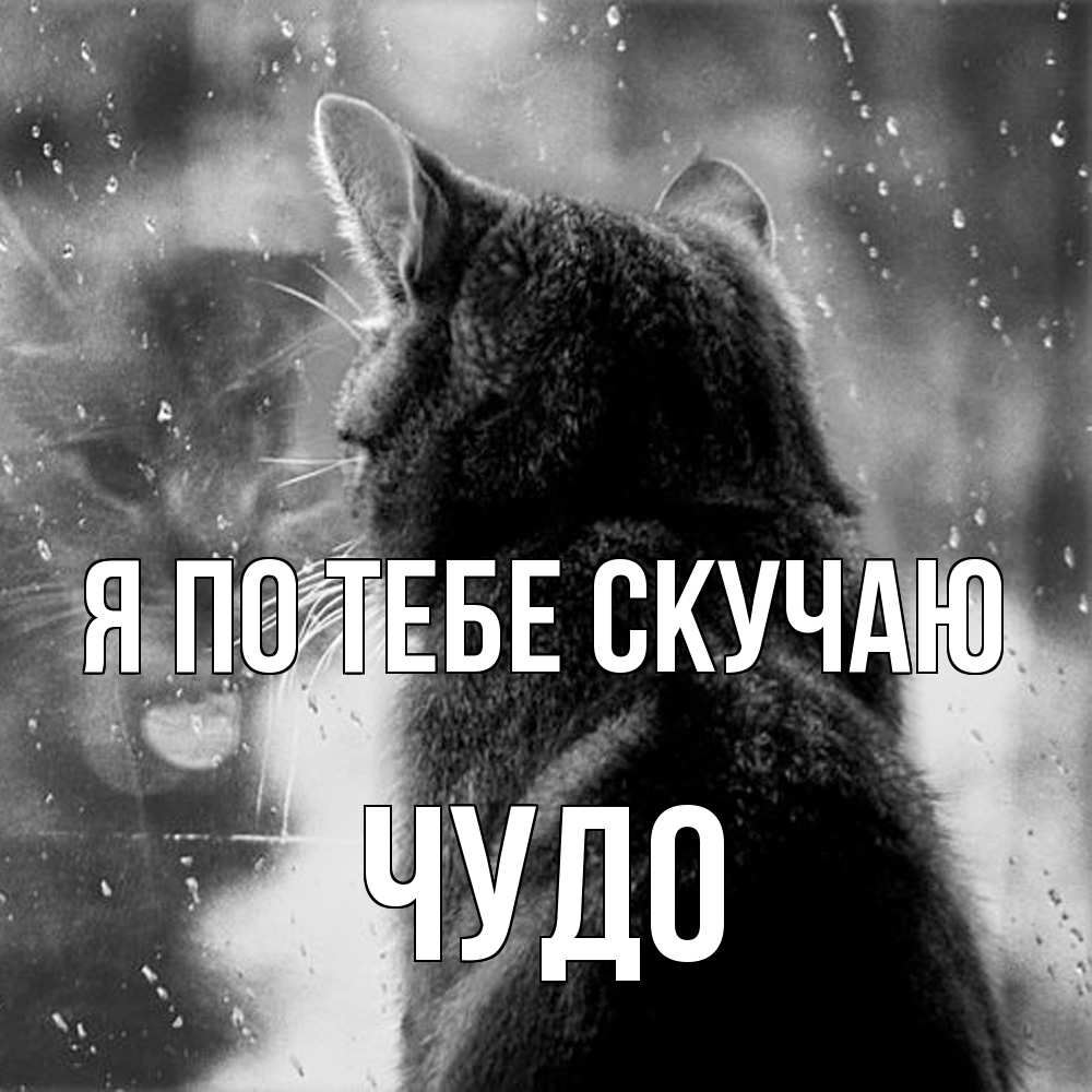Открытка на каждый день с именем, Чудо Я по тебе скучаю скорее ко мне приходи 1 Прикольная открытка с пожеланием онлайн скачать бесплатно 